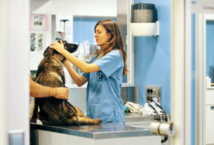 As 7 melhores clinicas Veterinárias da Região Oceânica